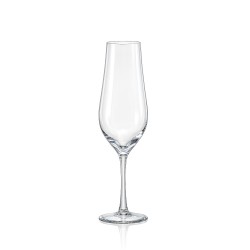 Келих шампанське 170 мл. Tulipa Bohemia - b40894/170-1