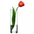 Ваза для квітів 27 см. Flora Pasabahce - 43767 